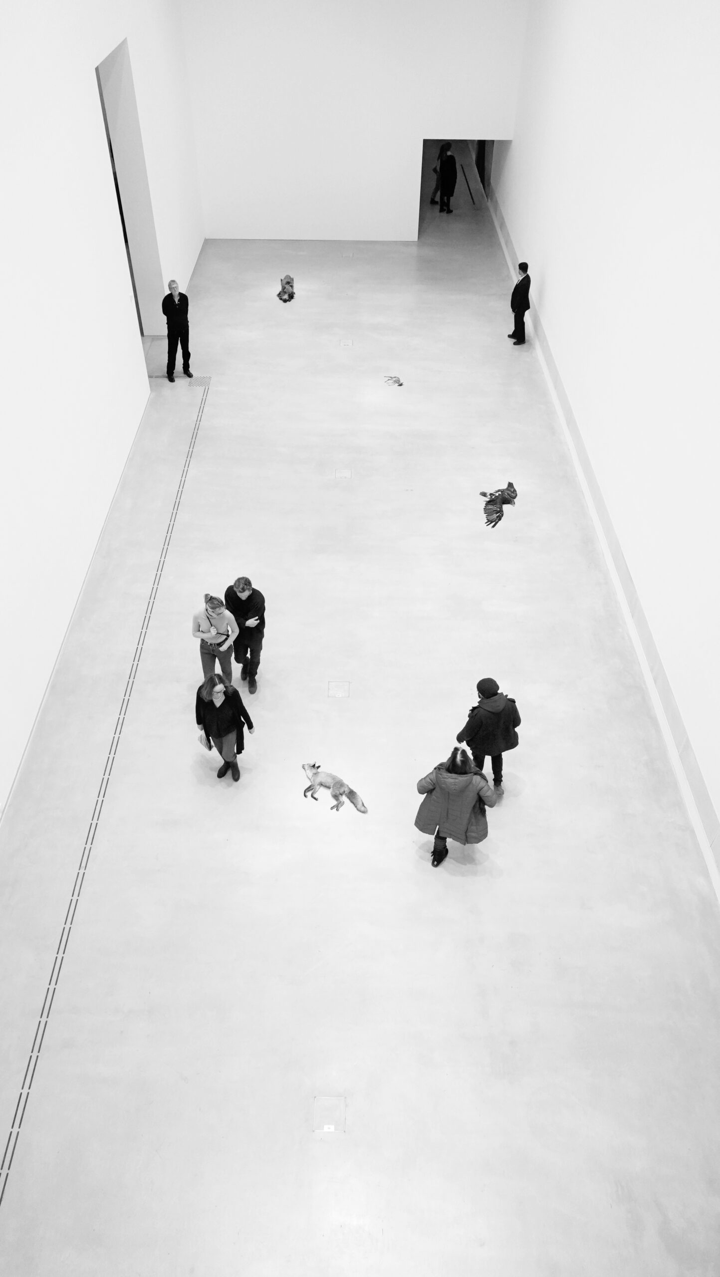 Museale Situation © Théophile Maria Koehne